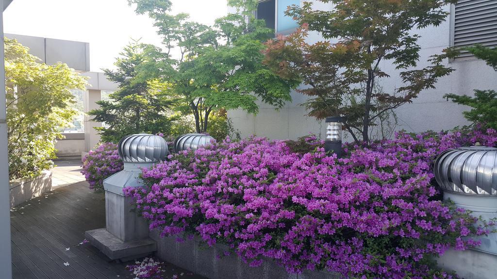 Hyundai Residence Seul Zewnętrze zdjęcie